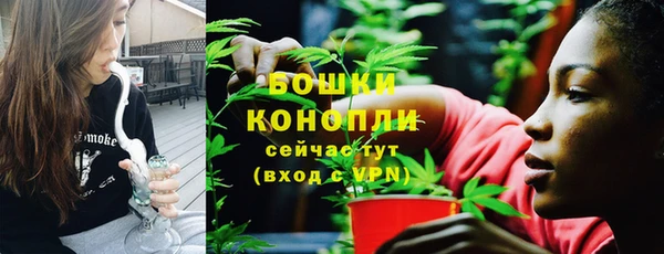 ПСИЛОЦИБИНОВЫЕ ГРИБЫ Арсеньев