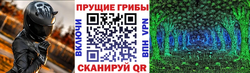 где купить наркоту  Рузаевка  Галлюциногенные грибы Psilocybe 